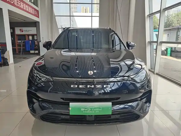 Denza X 2020