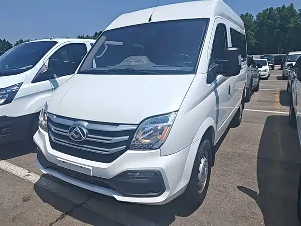 Maxus V80 2018
