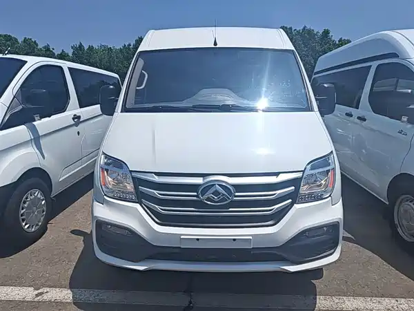 Maxus V80 2018