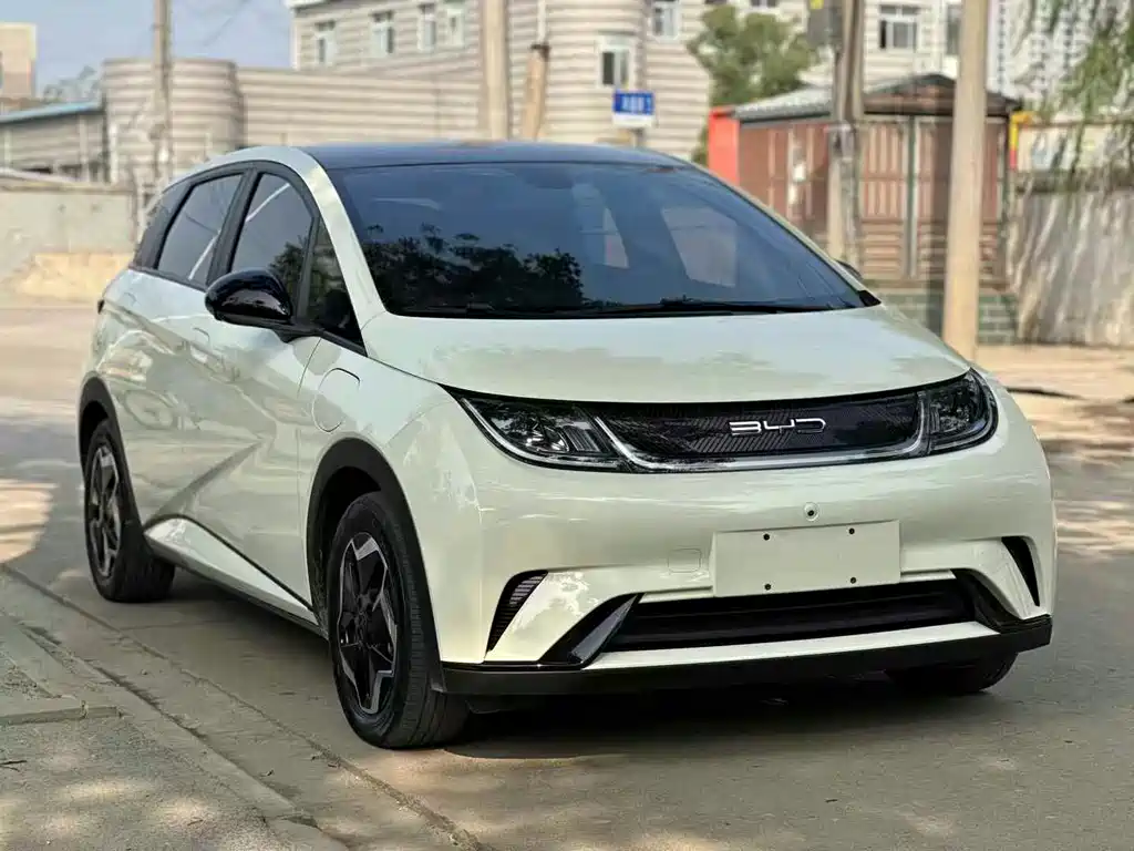 BYD Dolphin 2022