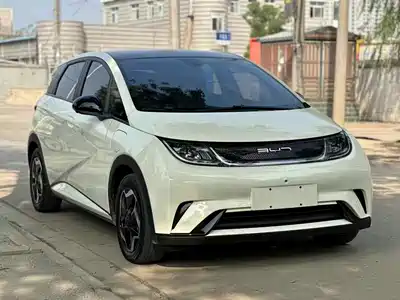 BYD Dolphin 2022