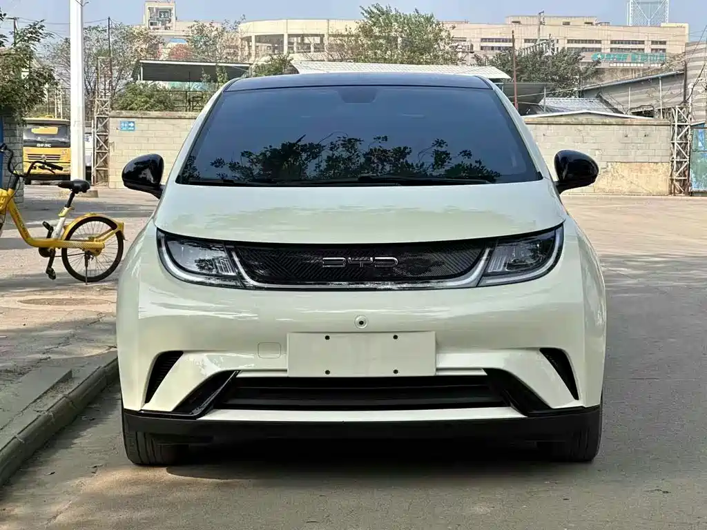 BYD Dolphin 2022