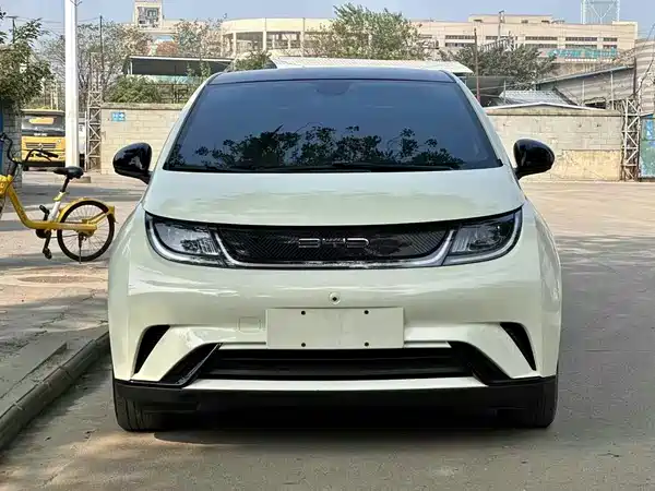 BYD Dolphin 2022