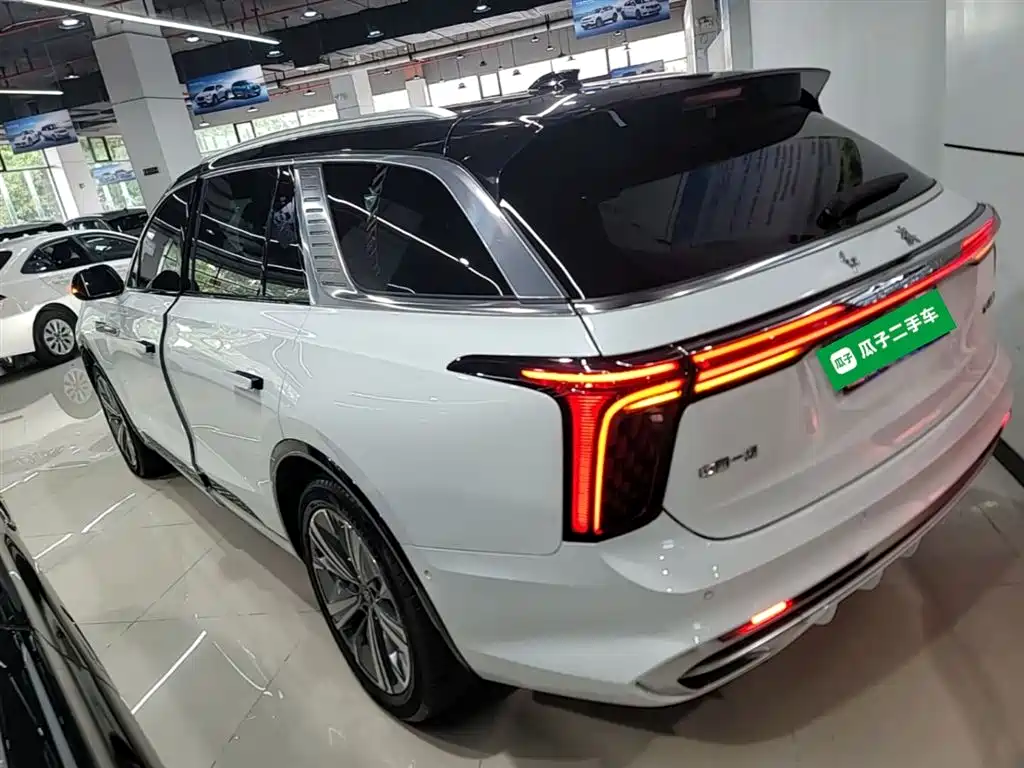 Hongqi E-HS9 2023 — фото 5