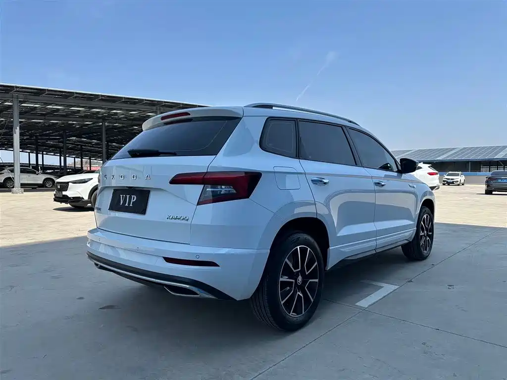 Skoda Karoq 2023 — фото 6