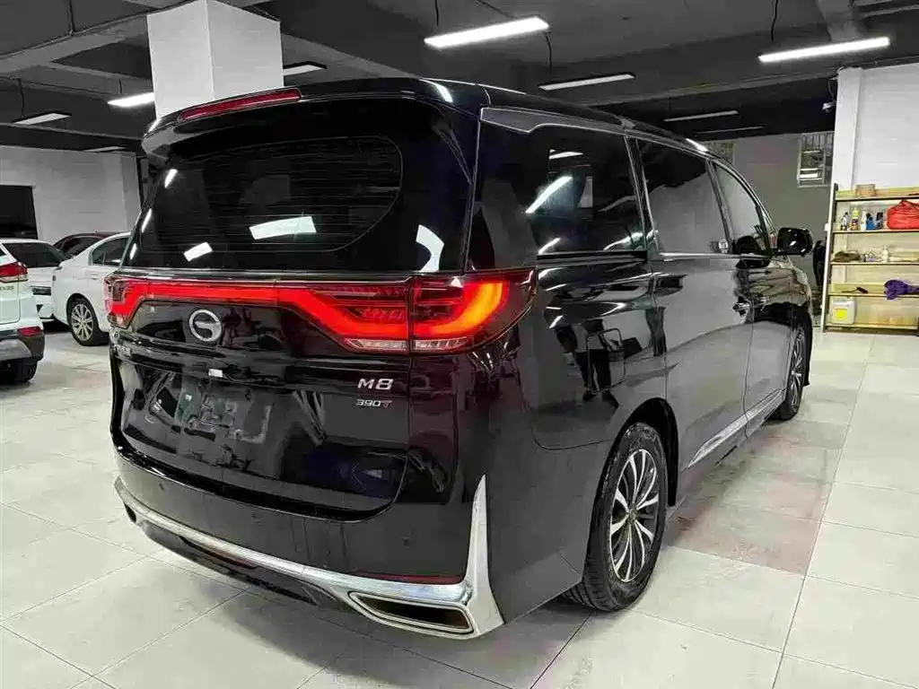 GAC Motor Trumpchi M8 2022 — фото 7