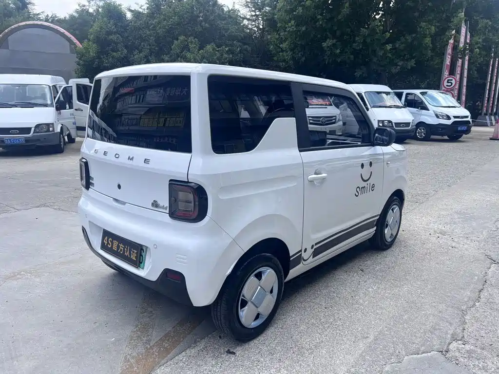 Geely Galaxy Panda 2024