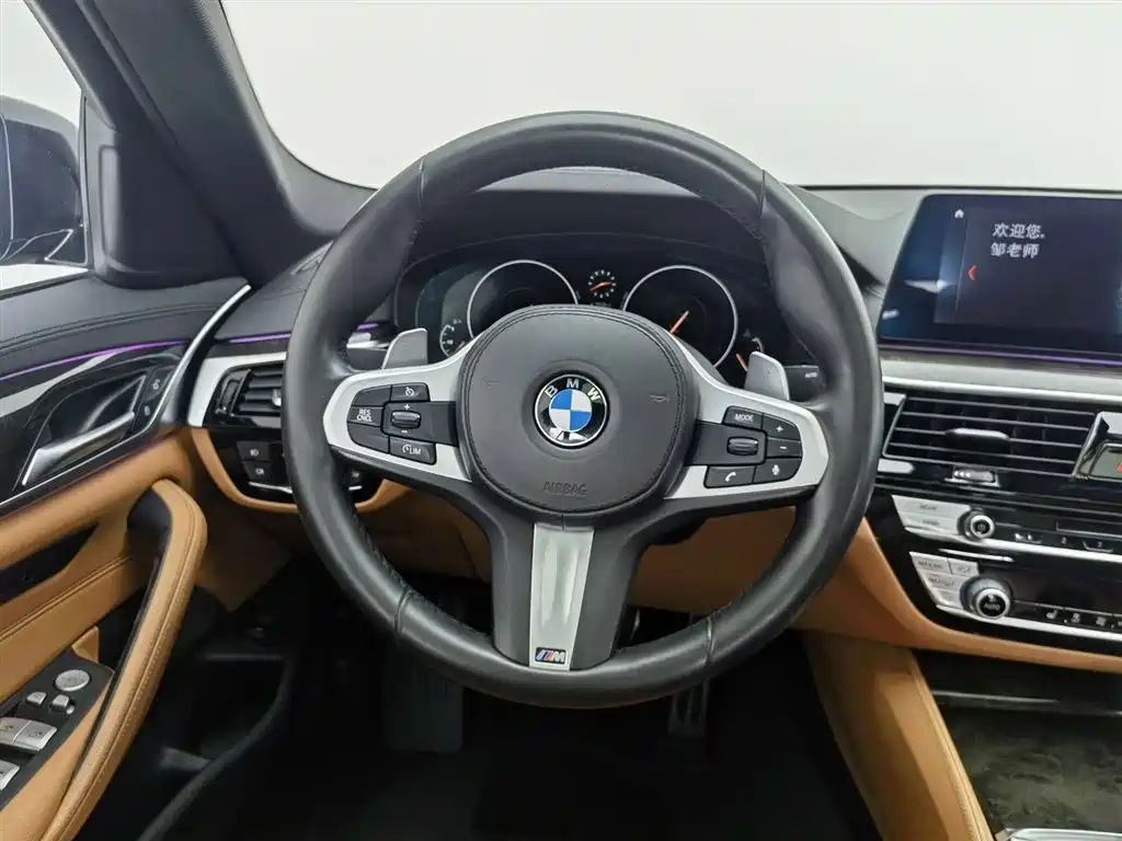 BMW 5 Series 2019 — фото 11