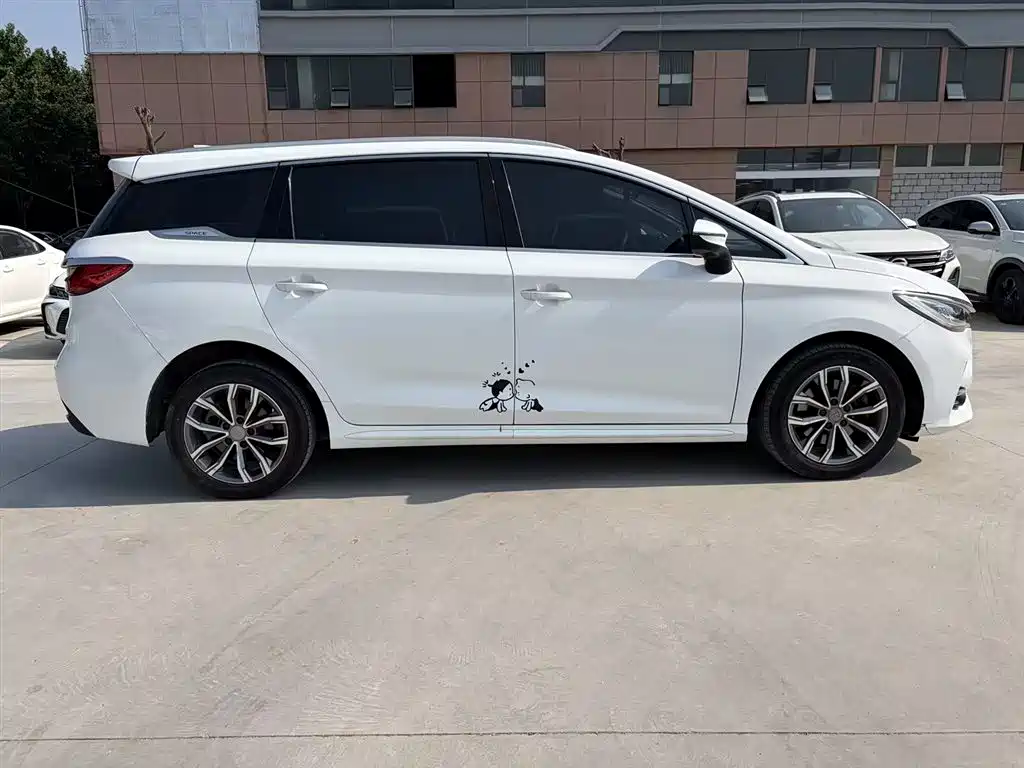 BYD MAX 2020