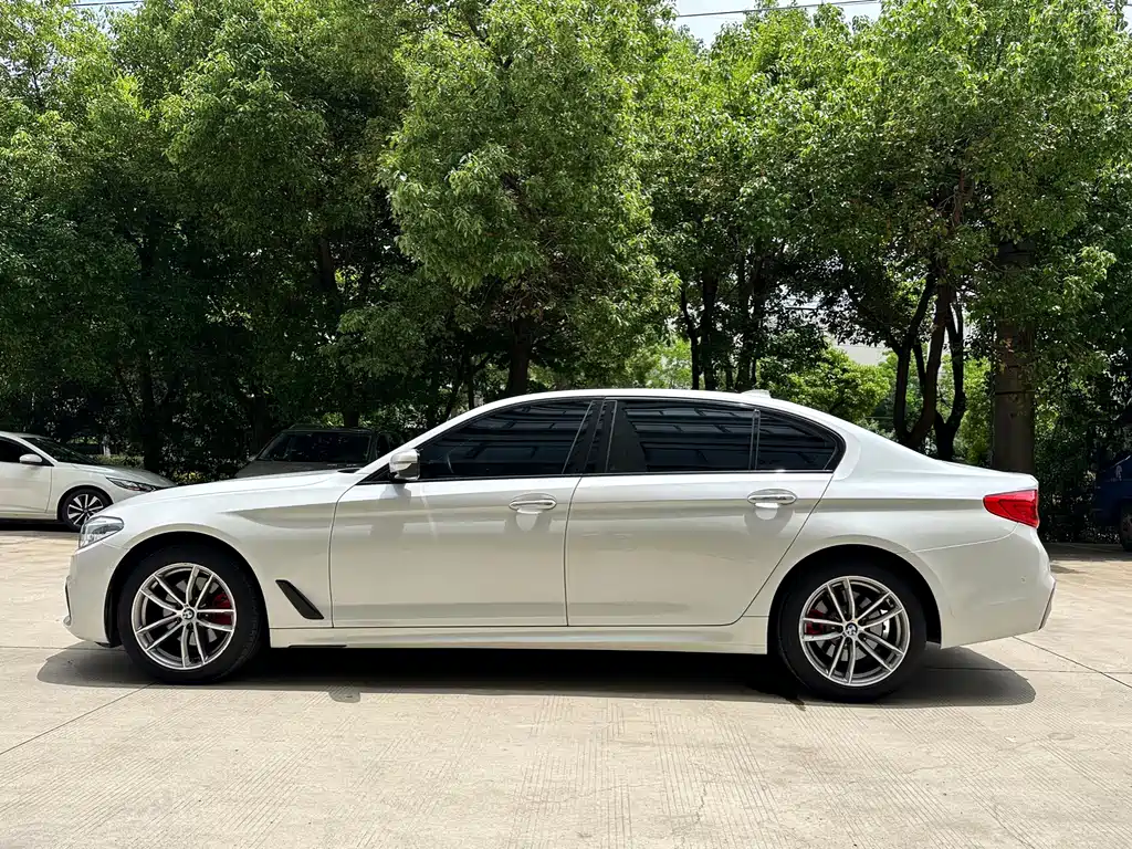BMW 5 Series 2018 — фото 11