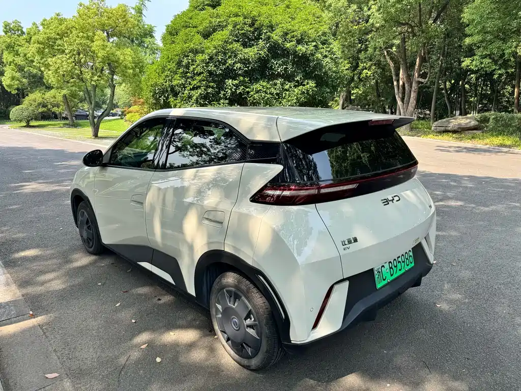 BYD Seagull 2024