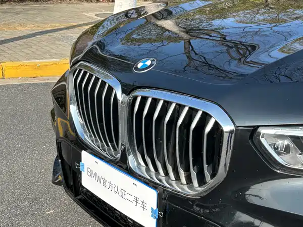BMW X5 2022