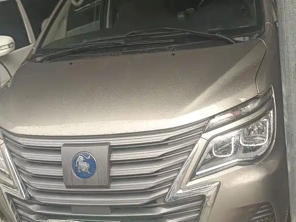 Dongfeng Lingzhi New Energy 2023