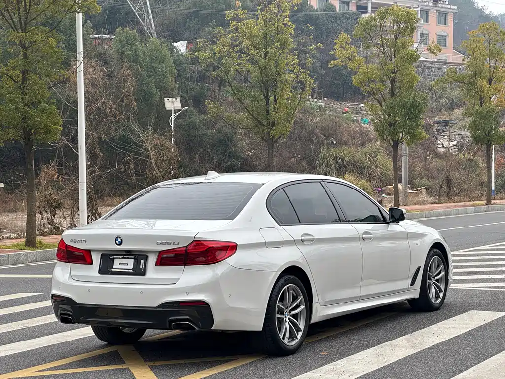 BMW 5 Series 2019 — фото 7