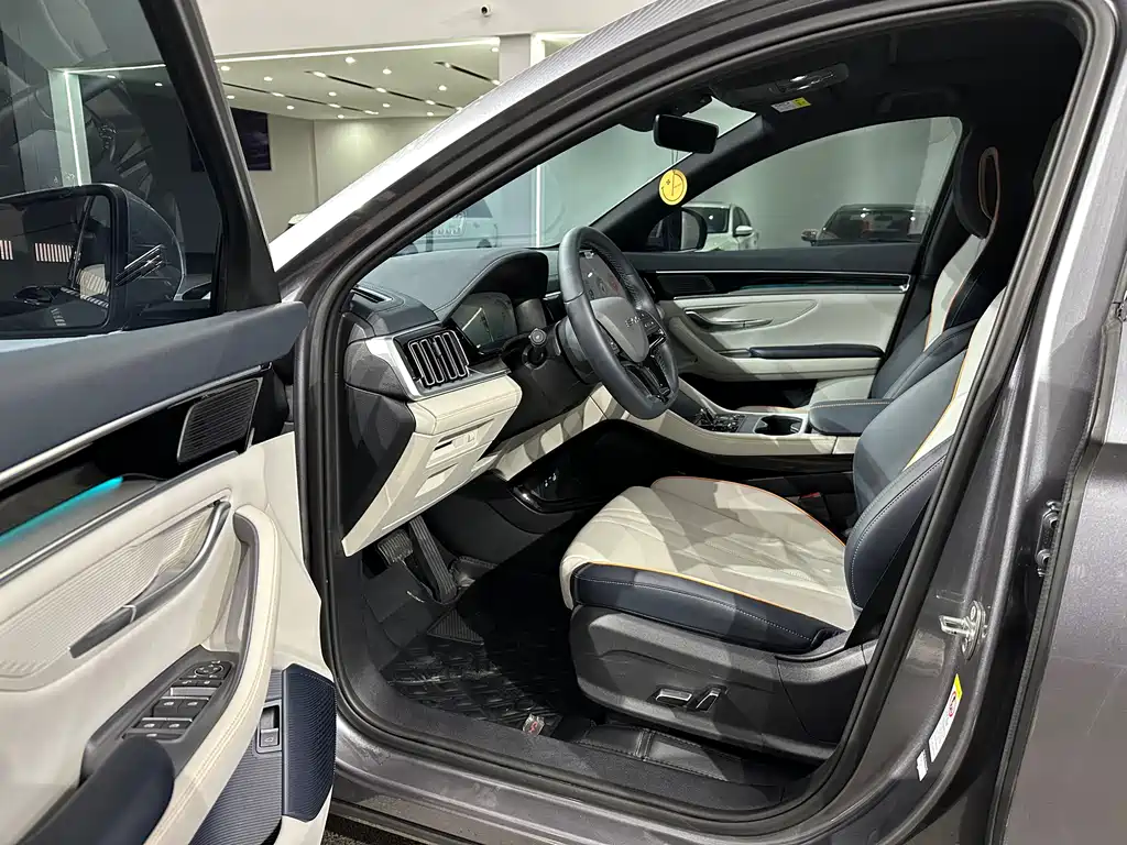 BYD PLUS New Energy 2023 — фото 6