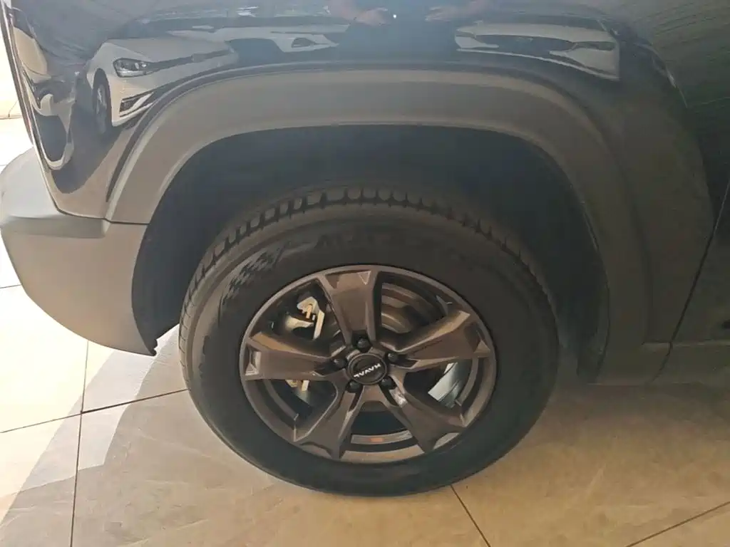 Haval Raptors New Energy 2024 — фото 23