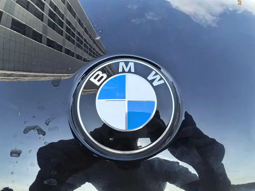 BMW X5 New Energy 2020 — фото 10