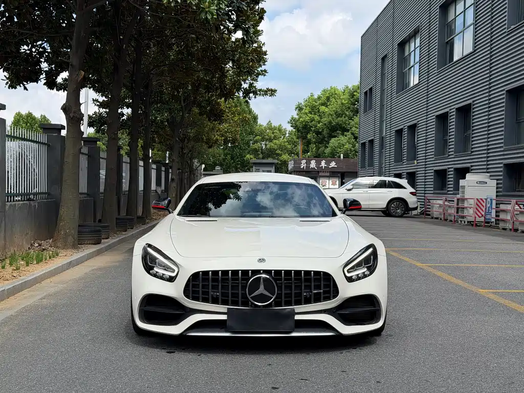 Mercedes-Benz AMG GT 2019 — фото 2