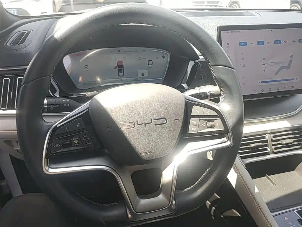 BYD PLUS New Energy 2023 — фото 11