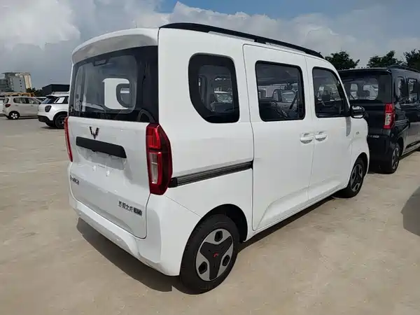Wuling Zhiguang New Energy 2026