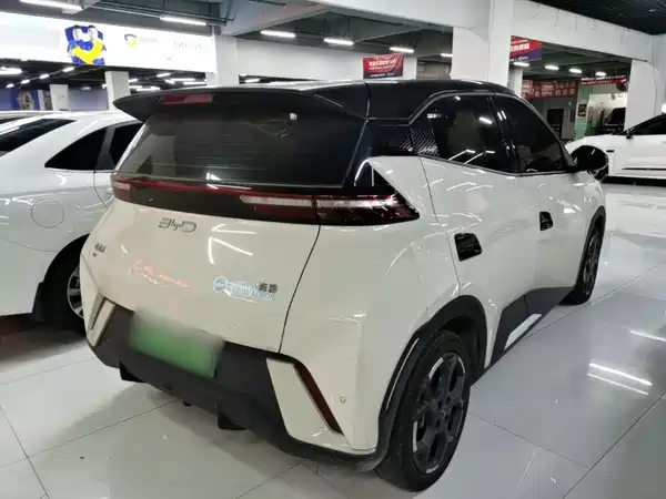 BYD Seagull 2024