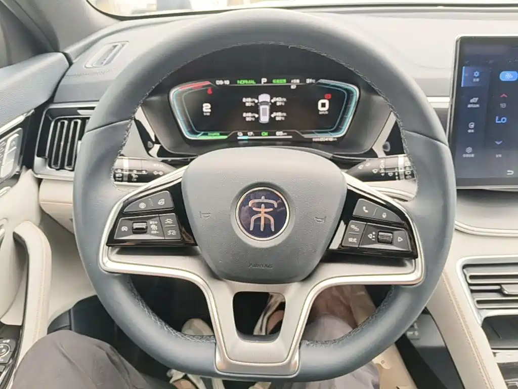 BYD Song PLUS New Energy 2023 — фото 11