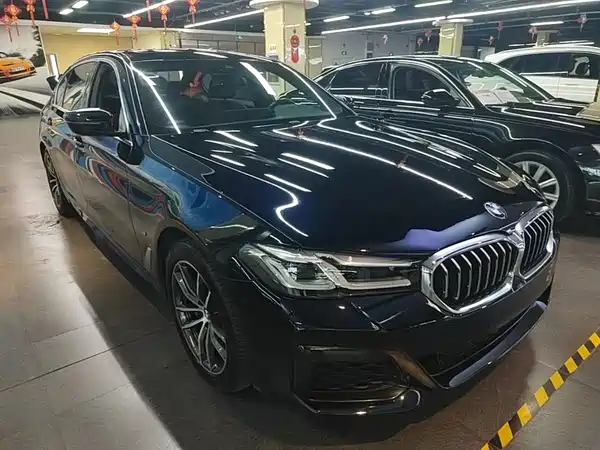 BMW 5 Series New Energy 2021