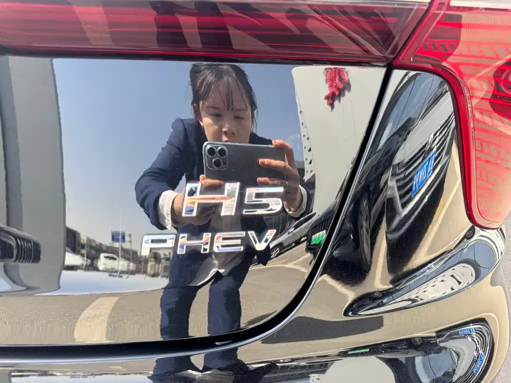 Hongqi H5 PHEV 2025 — фото 14
