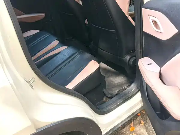 BYD Seagull 2024