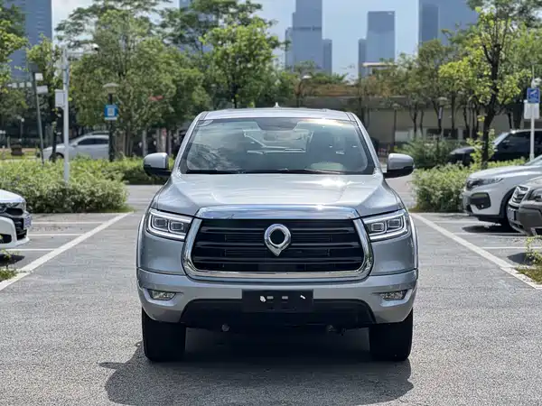 Great Wall Poer 2019