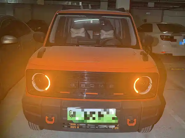 Geely Galaxy Panda 2024