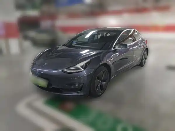 Tesla Model 3 2019