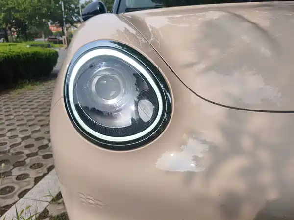 Ora Good Cat 2023