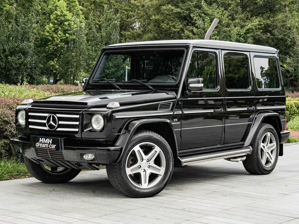 Mercedes-Benz G-Class AMG 2010 — фото 1