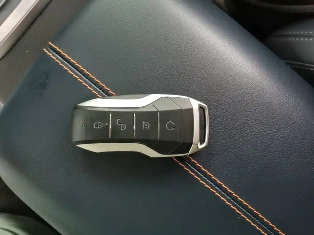 BYD PLUS New Energy 2023 — фото 17