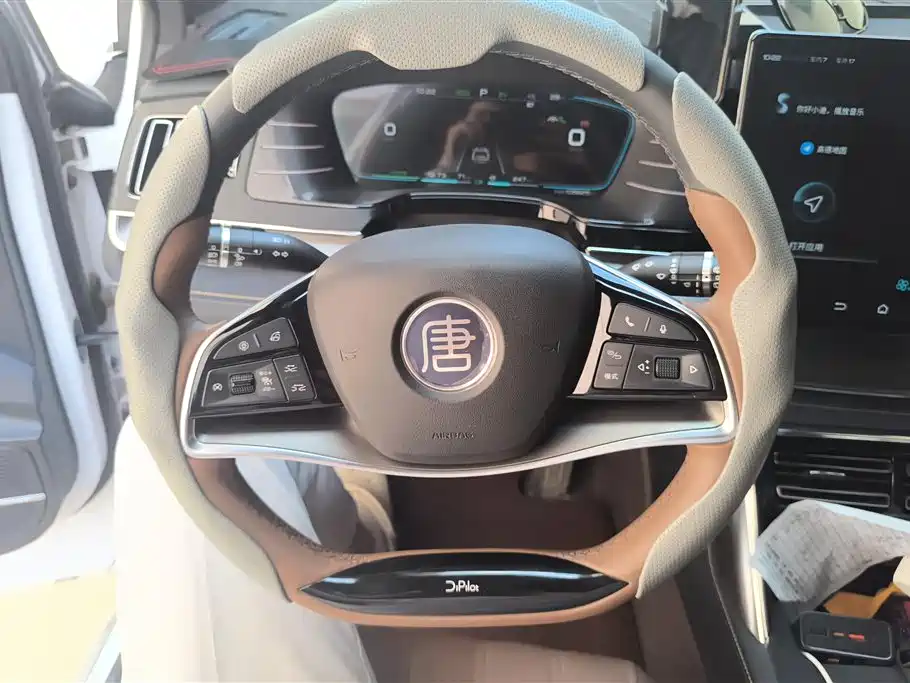 BYD Tang New Energy 2020 — фото 15