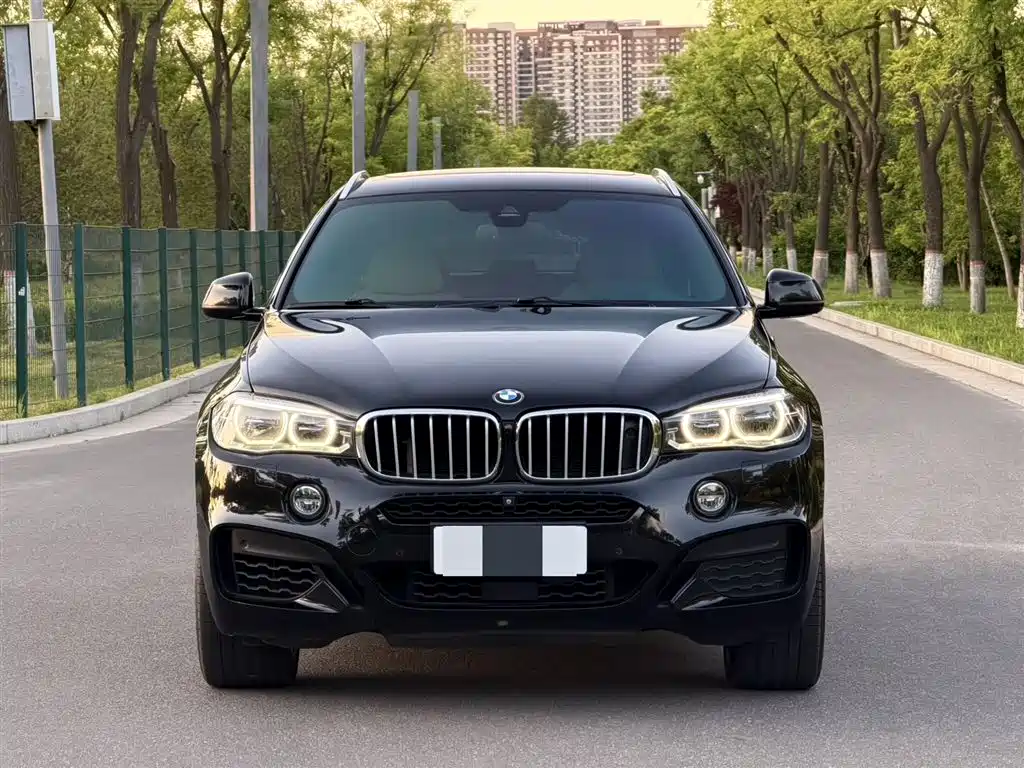 BMW X6 2017 — фото 2