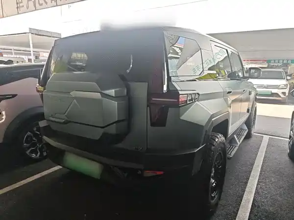 Mengshi 917 2024
