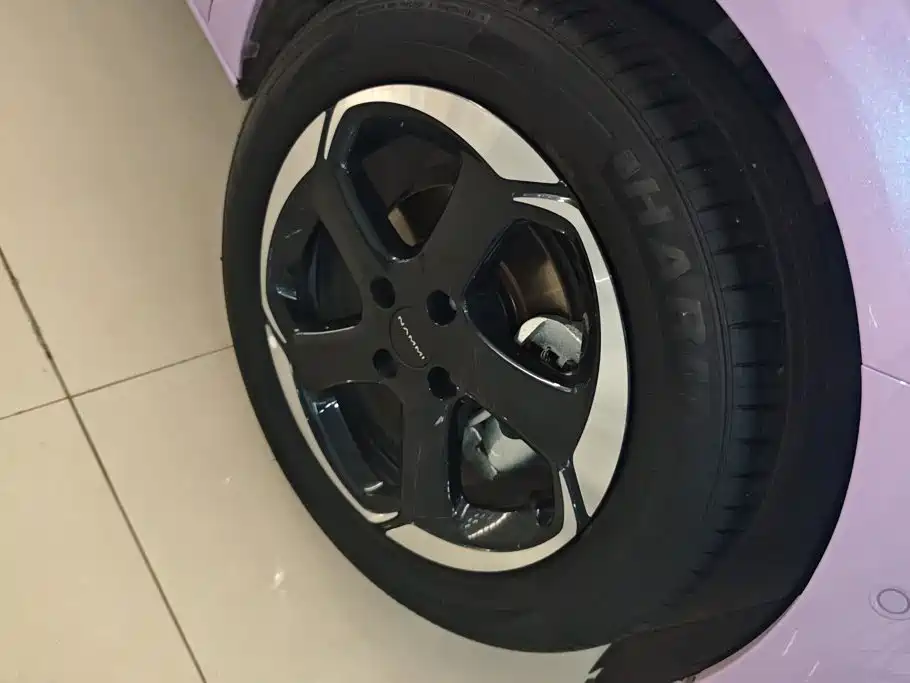 Dongfeng Nano 01 2025