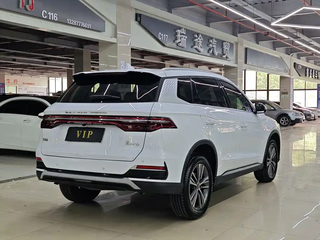 BYD Pro 2021 — фото 4