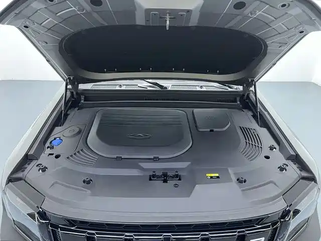 Shanhai Traveller C-DM 2025 — фото 17