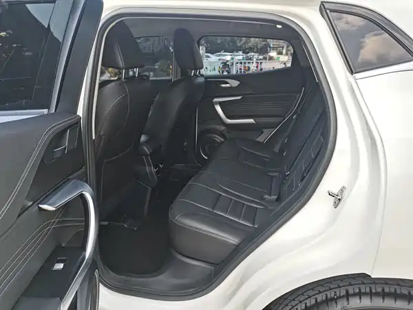 Wey VV5 2020