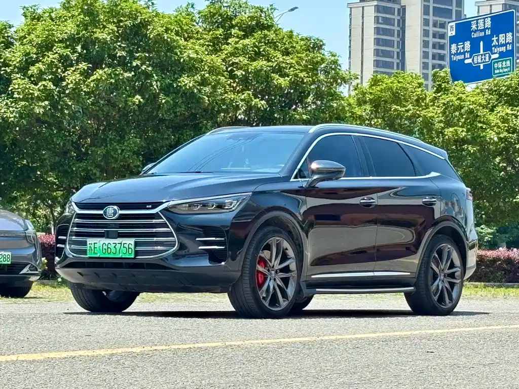 BYD Tang New Energy 2018 — фото 2