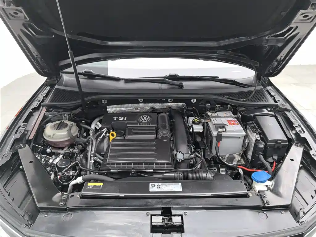 Volkswagen Magotan 2019