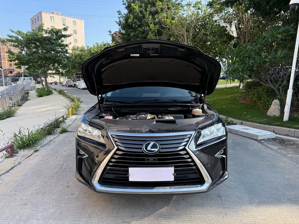 Lexus RX 2019 — фото 14