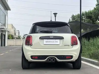 MINI MINI 2020
