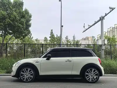 MINI MINI 2020