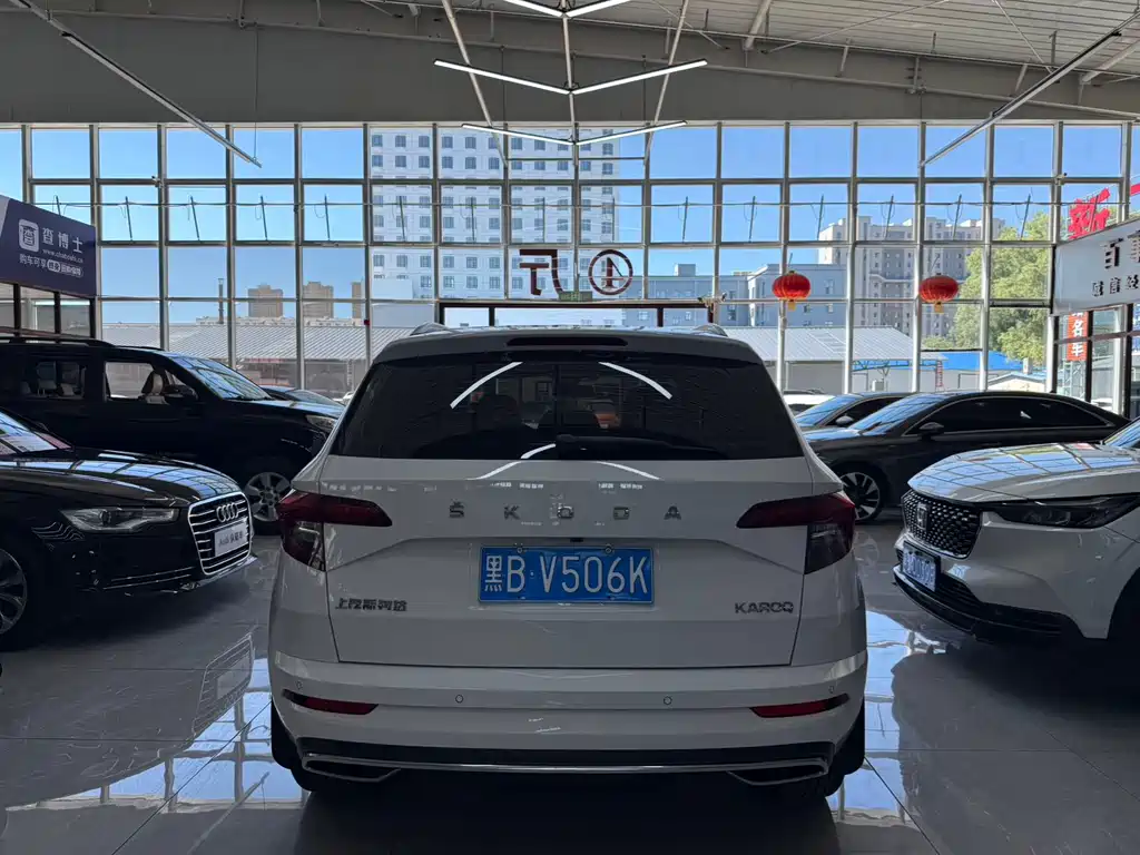 Skoda Karoq 2023 — фото 8