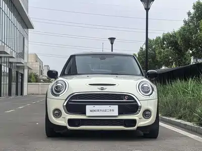 MINI MINI 2020