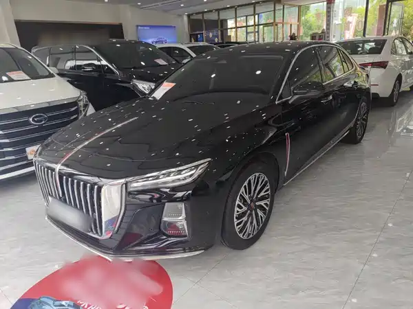 Hongqi H5 2024